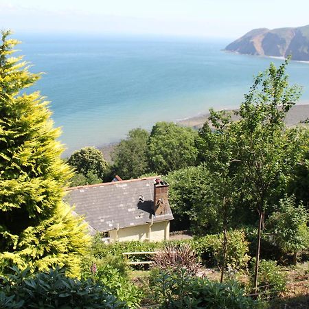 Bed and Breakfast North Walk House Lynton Exterior foto