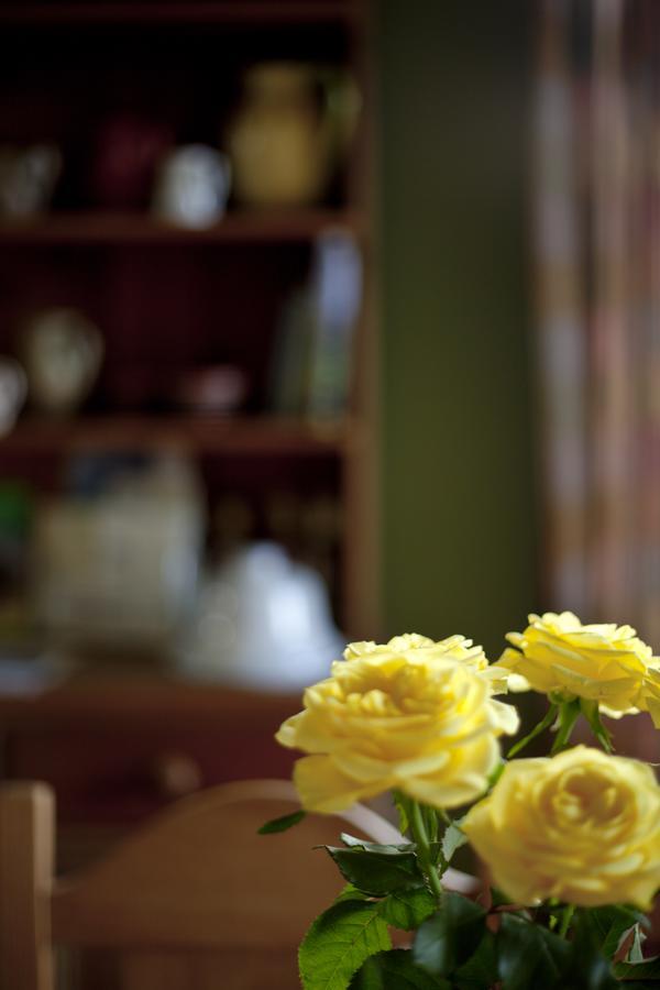 Bed and Breakfast North Walk House Lynton Exterior foto